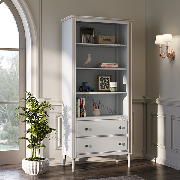 کتابخانه ویولت