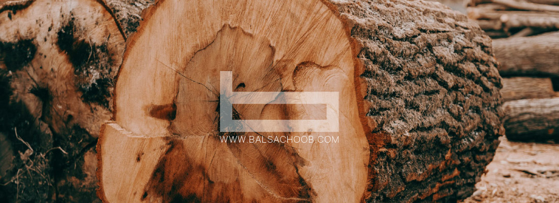 آشنایی با انواع و کاربرد چوب بلوط