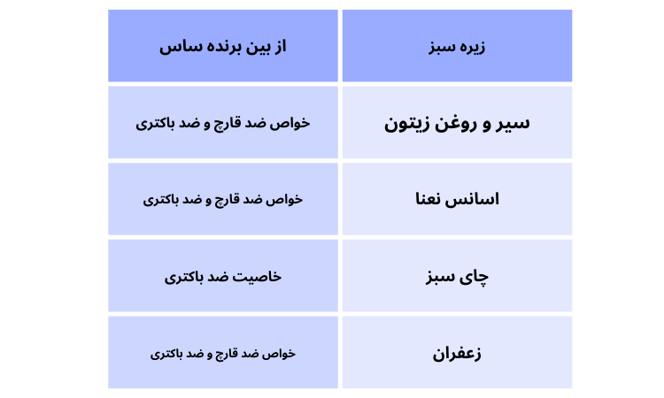 راه های از بین بردن ساس