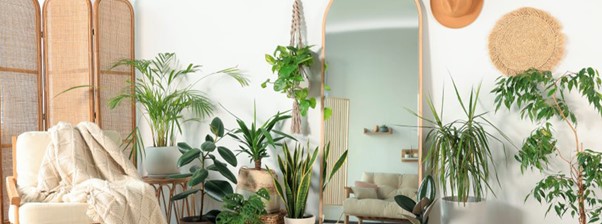 مزایای آینه قدی